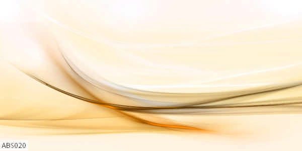 ABS020