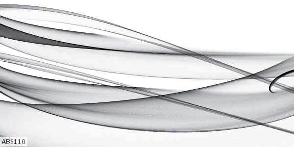ABS110