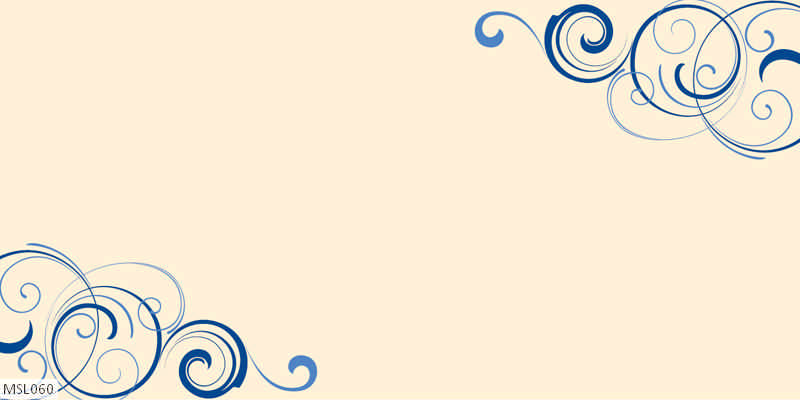 MSL060