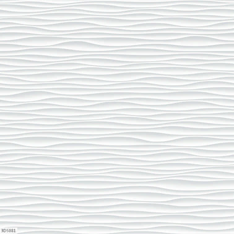 3DS081