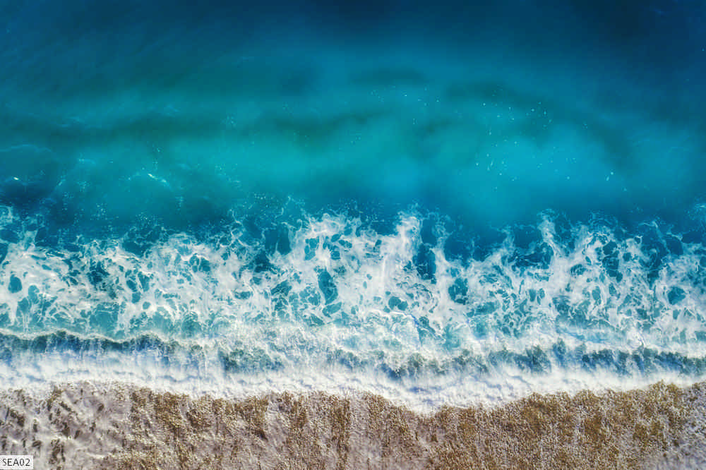 SEA02