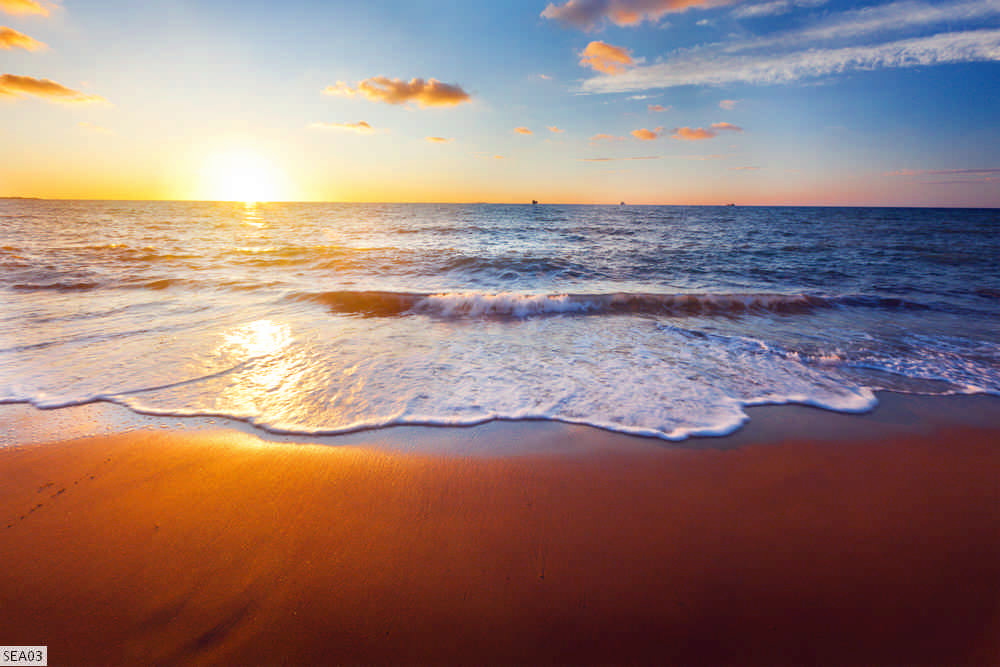 SEA03