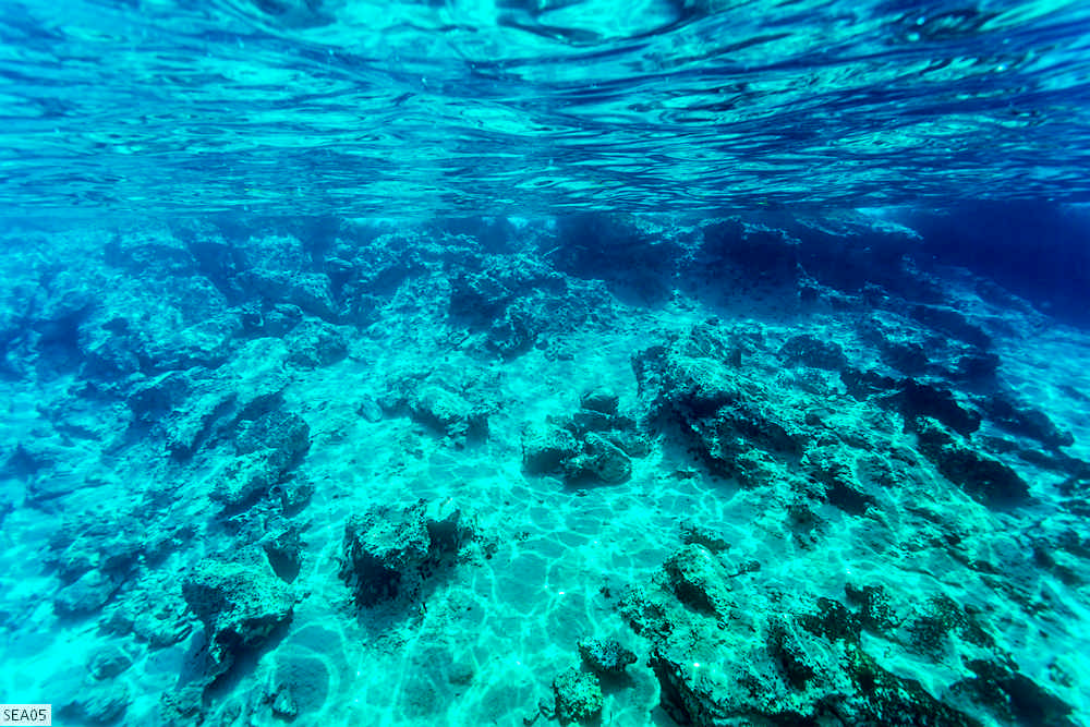 SEA05