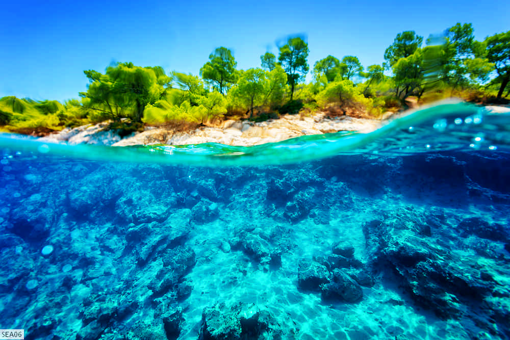SEA06