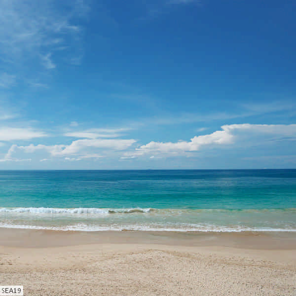 SEA19