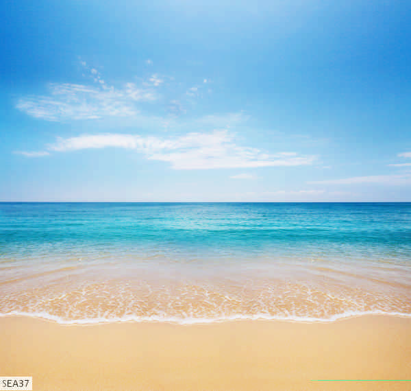 SEA37
