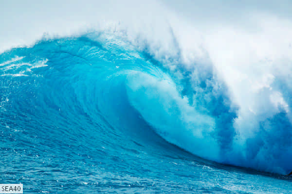 SEA40
