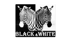 Black & White רהיטים