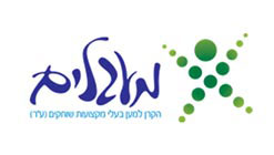 מעגלים