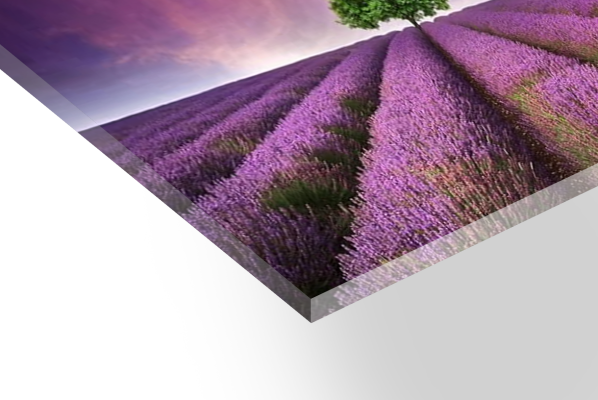 פרספקס 3 מ”מ – לבן