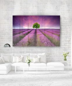 הדפסה על פרספקס