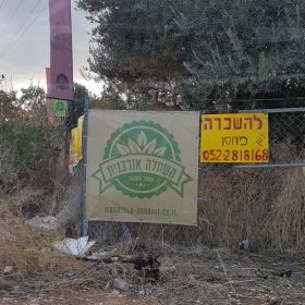 הדפסה על שמשונית משתלה אורבנית