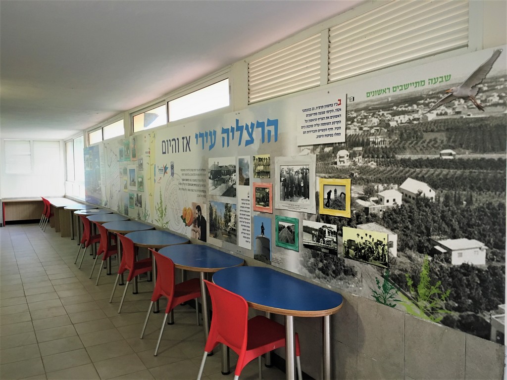 אלישבע שלתיאל ELI7STUDIO