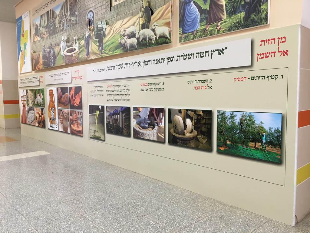 אתי אלטחן