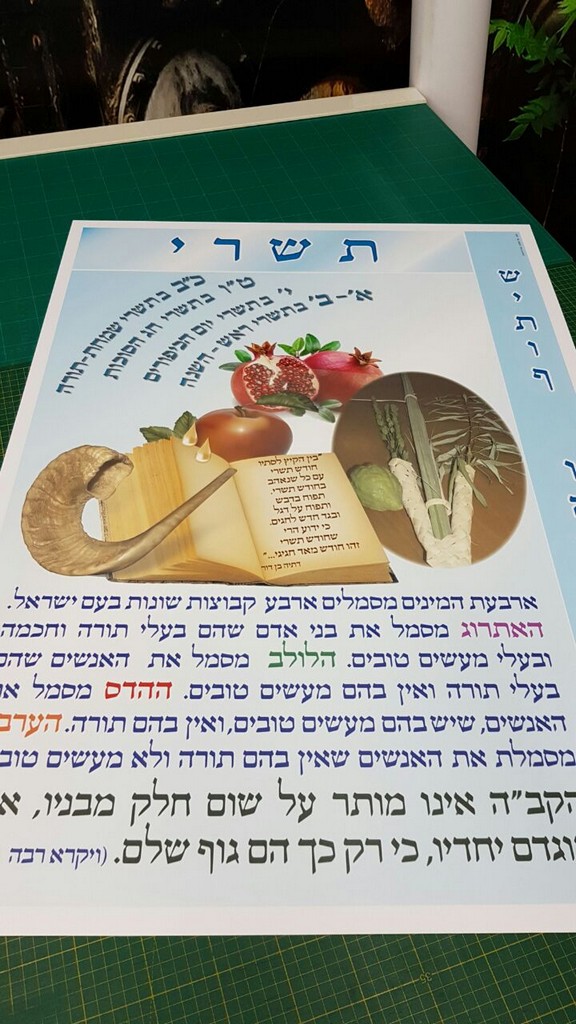 אתי אלטחן