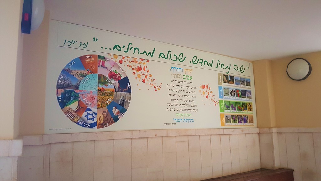 אתי אלטחן