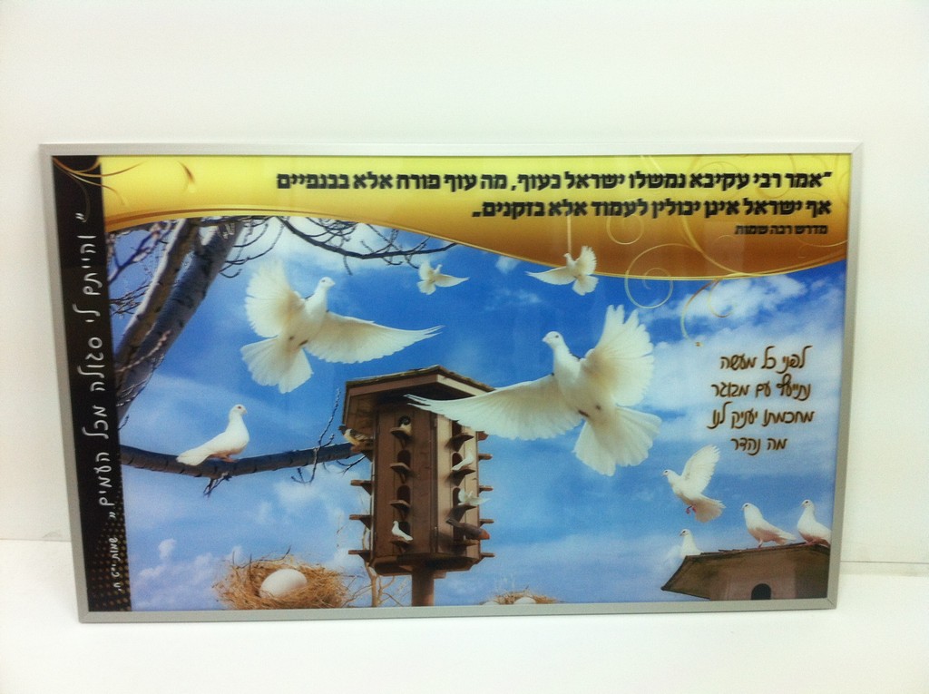 בית ספר רצלה הדפסה על פרספקס