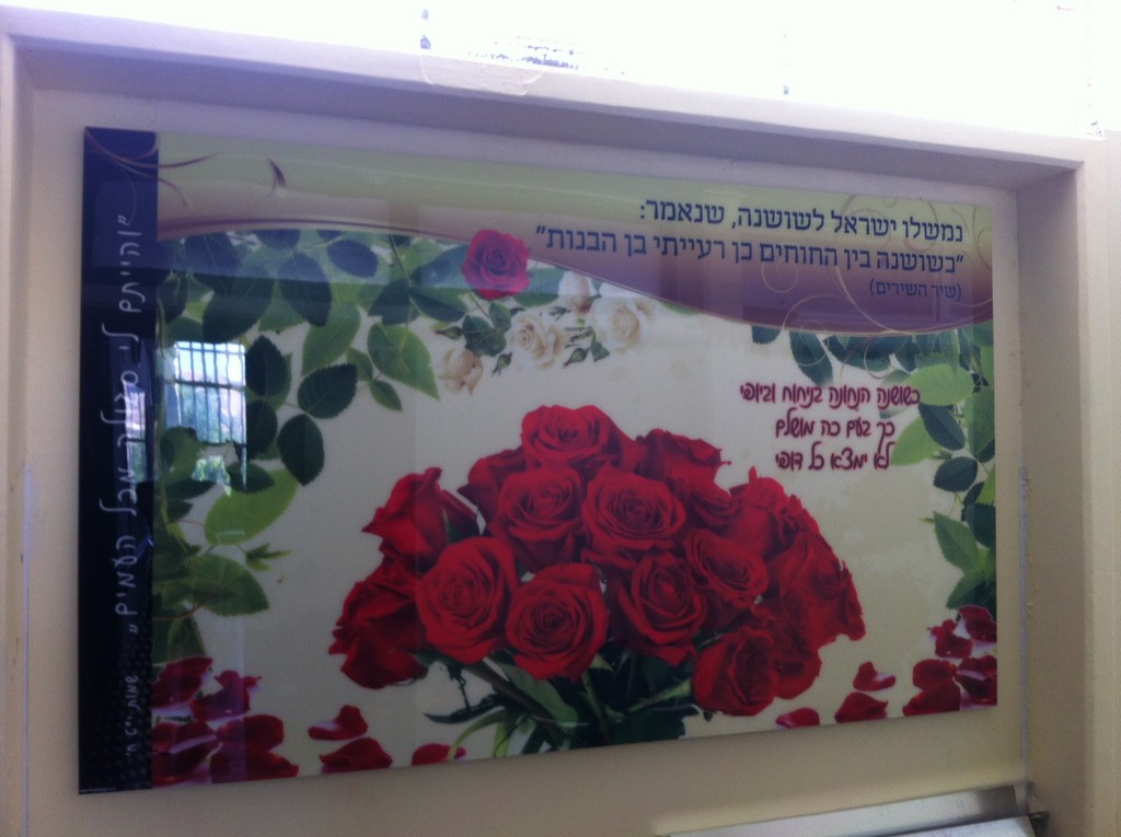 בית ספר רצלה הדפסה על פרספקס