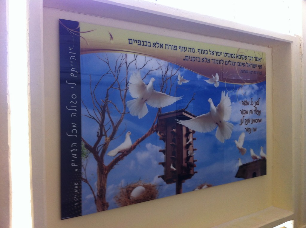 בית ספר רצלה הדפסה על פרספקס