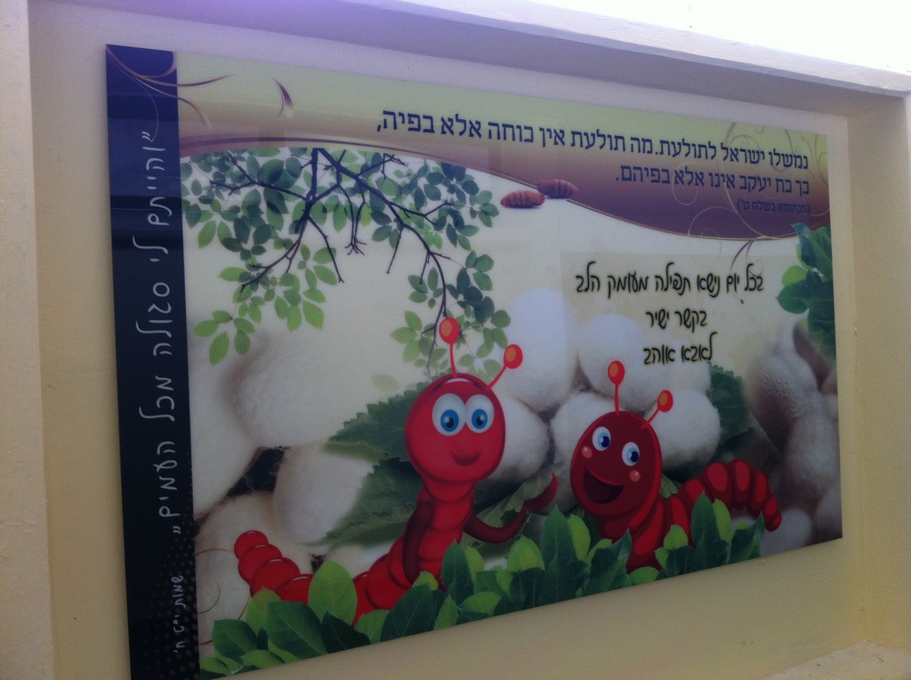 בית ספר רצלה הדפסה על פרספקס