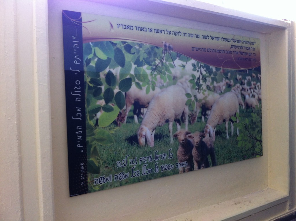 בית ספר רצלה הדפסה על פרספקס