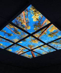 תקרות מוארות