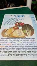 אתי אלטחן
