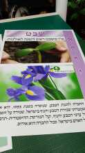 אתי אלטחן