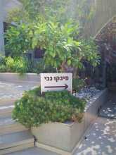 שלט אלוקובונד פיבקו גבי