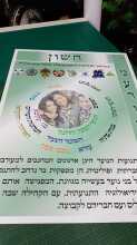 אתי אלטחן