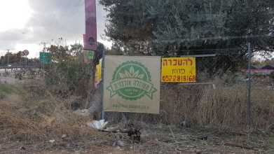 הדפסה על שמשונית משתלה אורבנית